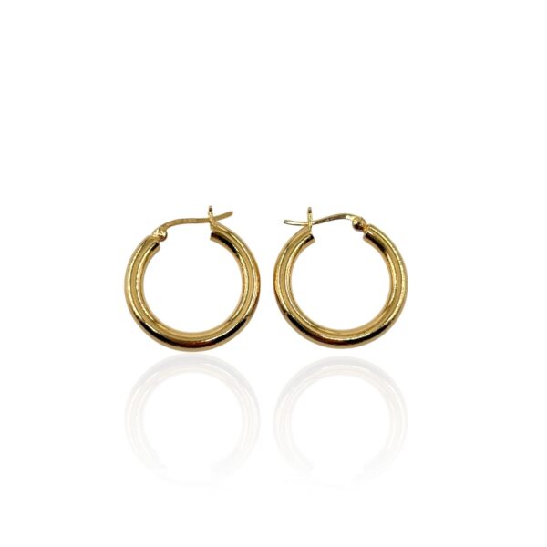 Orecchini cerchietto gold