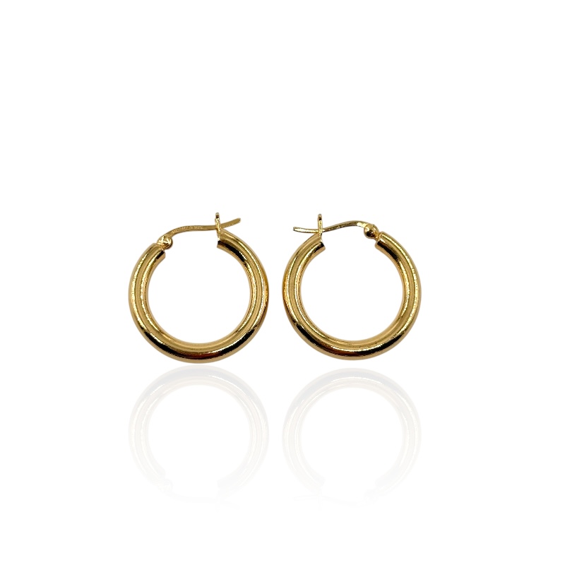 Orecchini cerchietto gold