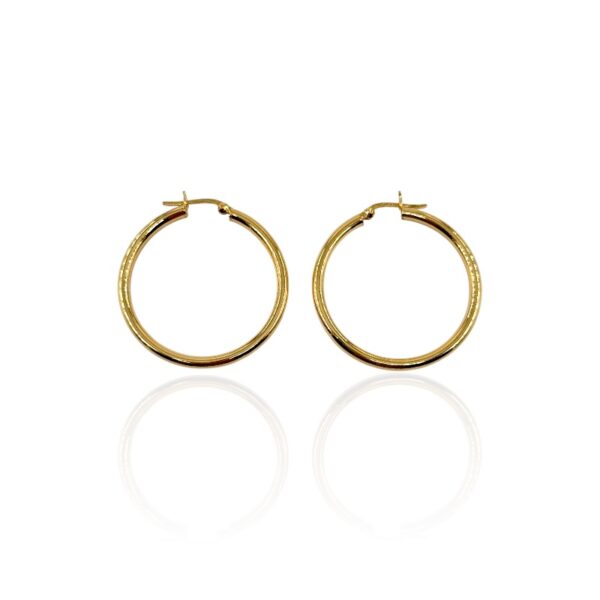 Orecchini cerchietto gold