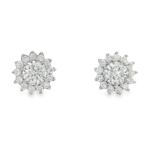 Orecchini centro e contorno Moissanite